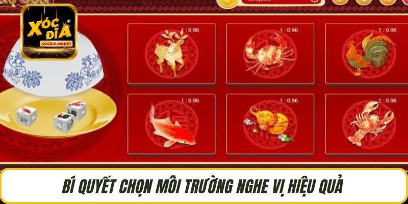 Bí quyết chọn môi trường nghe vị hiệu quả