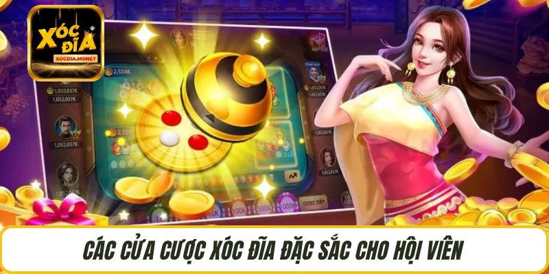 Các cửa cược Xóc Đĩa đặc sắc cho hội viên 