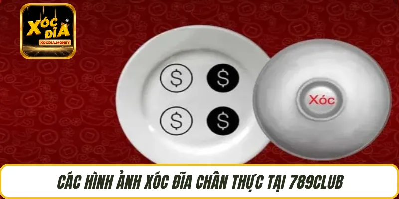 Các hình ảnh xóc đĩa chân thực tại 789CLUB