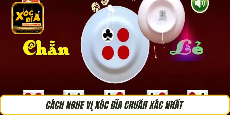 Cách nghe vị xóc đĩa chuẩn xác nhất