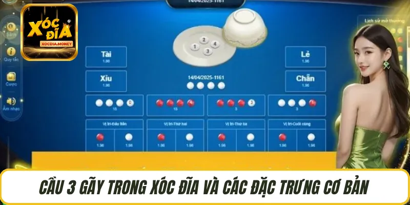 Cầu 3 gãy trong xóc đĩa và các đặc trưng cơ bản 