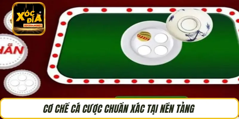Cơ chế cá cược chuẩn xác tại nền tảng