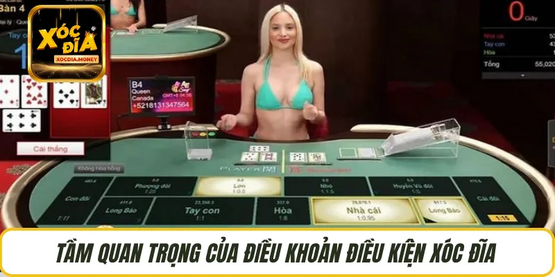 Tầm quan trọng của điều khoản điều kiện Xóc Đĩa