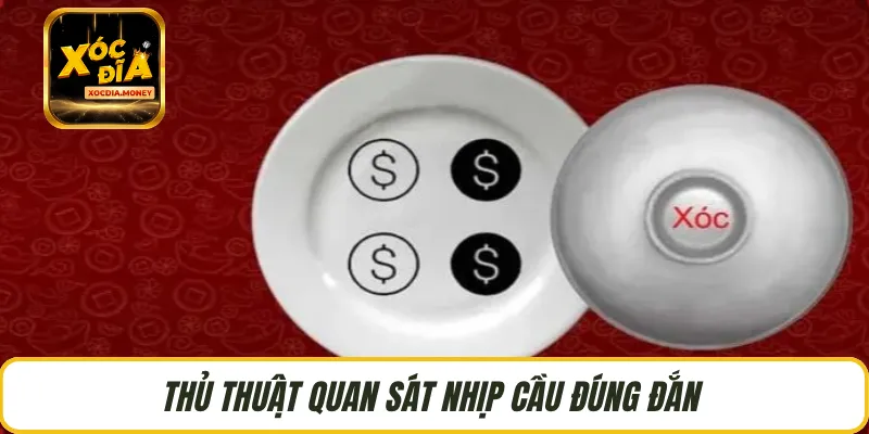 Thủ thuật quan sát nhịp cầu đúng đắn